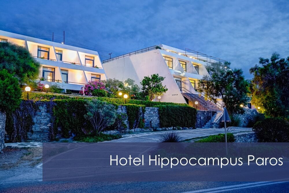 Hotel Hippocampus